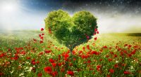 Green Love Heart Tree Poppies334609801 200x110 - Green Love Heart Tree Poppies - tree, Poppies, Love, Heart, Hands, green